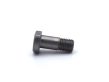 Flywheel Bolt - Brescia